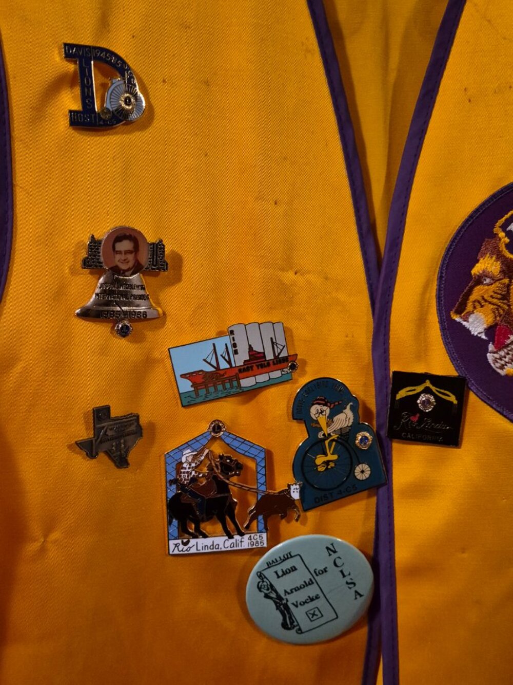 Vintage Lions Club Vest Medium 11 Pins 1985 Dallas Corpus Christi Texas USA - Picture 2 of 5